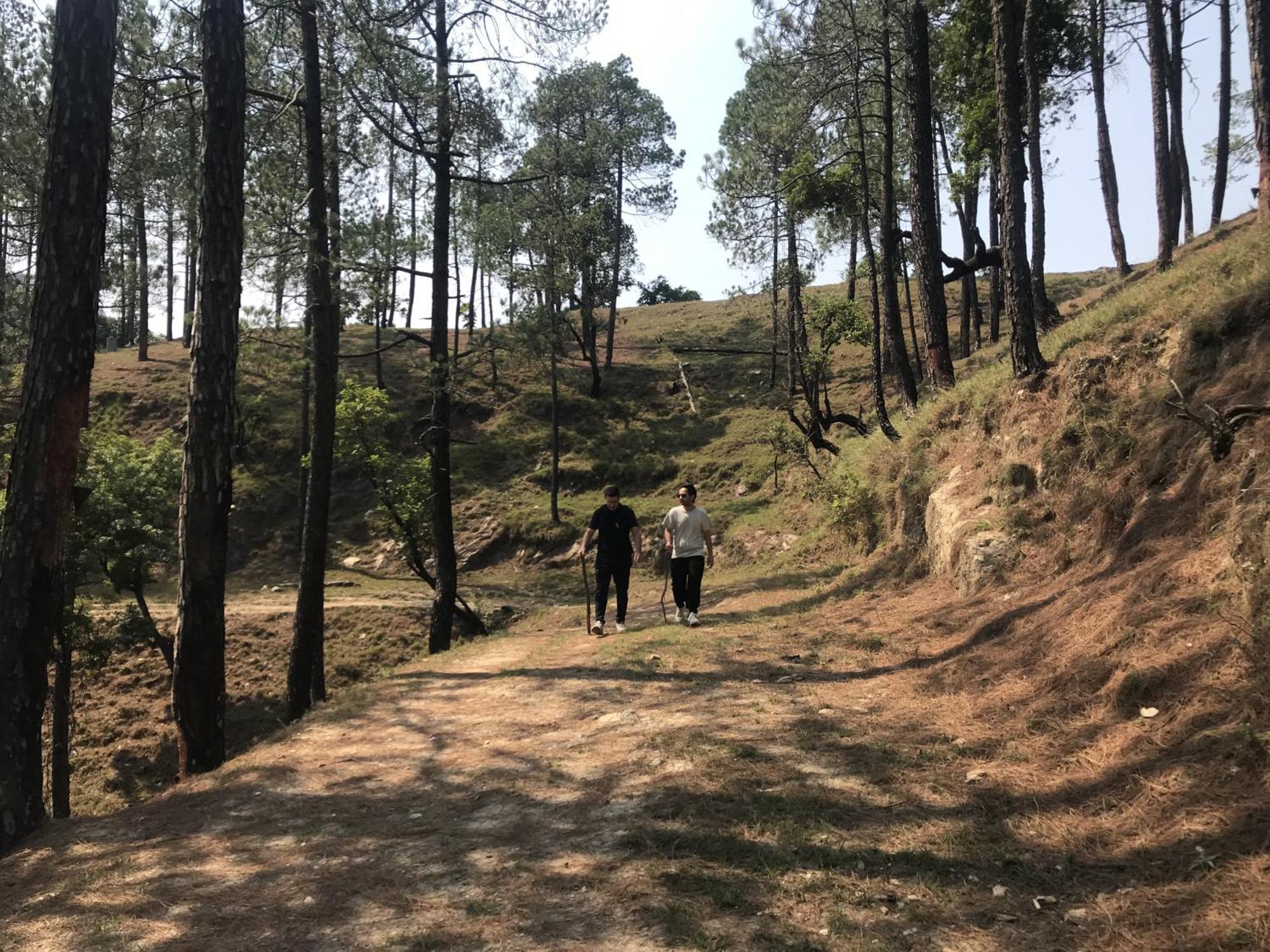 Simba Jungle Lodge, Binsar Wildlife Sanctuary Exterior foto