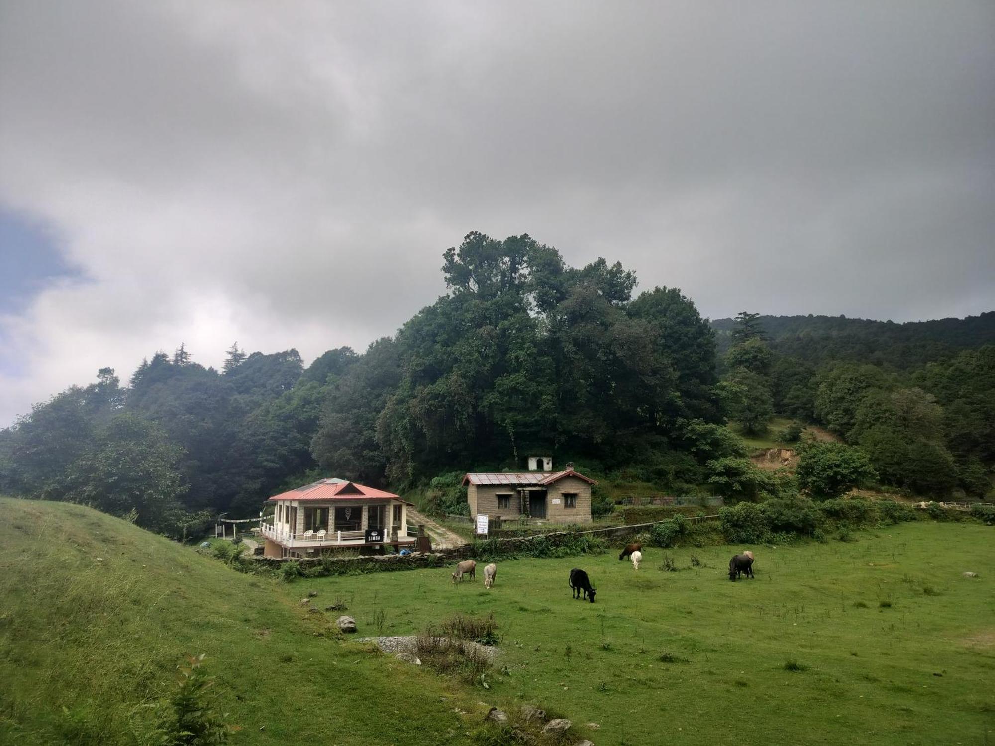 Simba Jungle Lodge, Binsar Wildlife Sanctuary Exterior foto