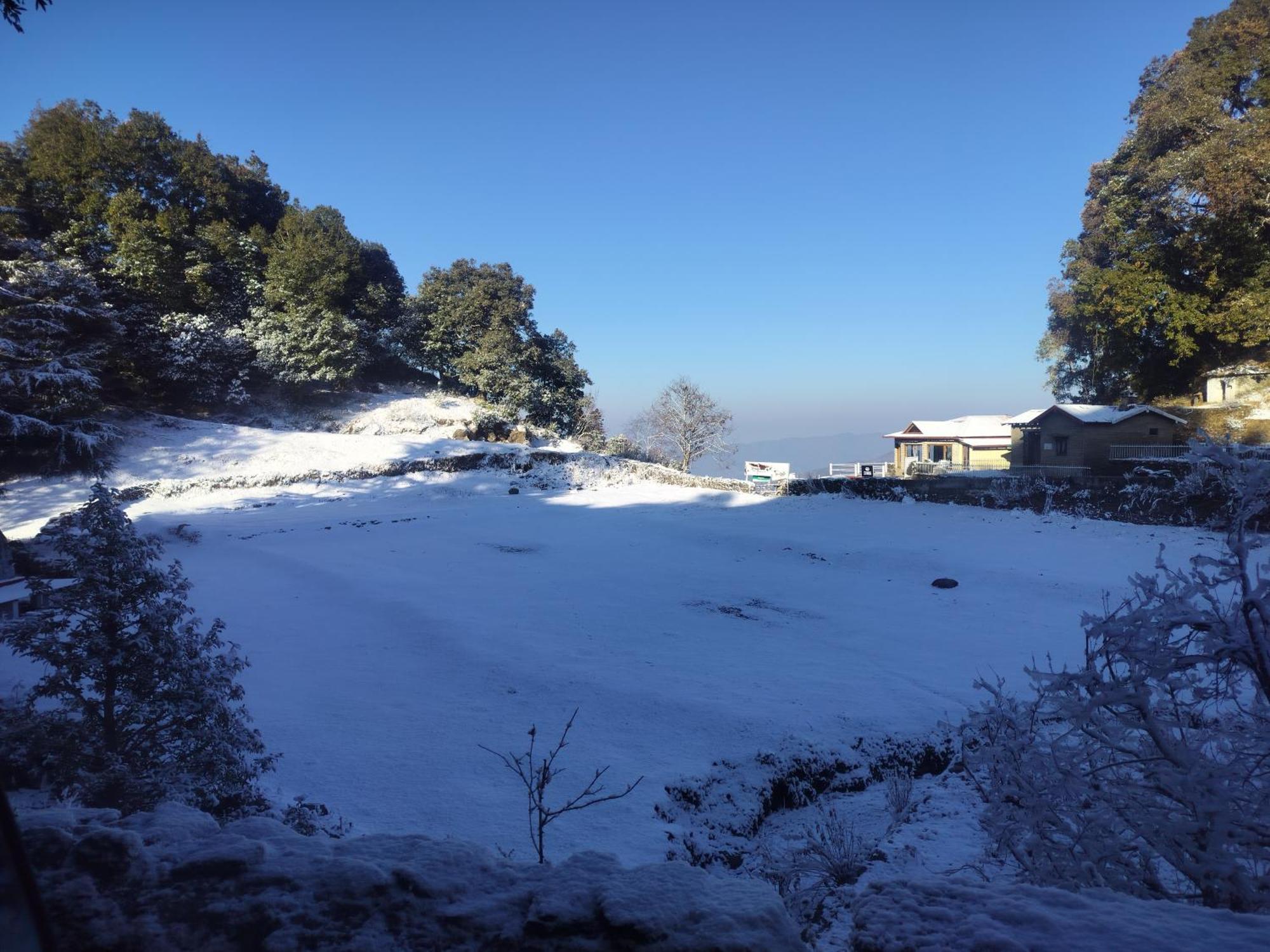 Simba Jungle Lodge, Binsar Wildlife Sanctuary Exterior foto