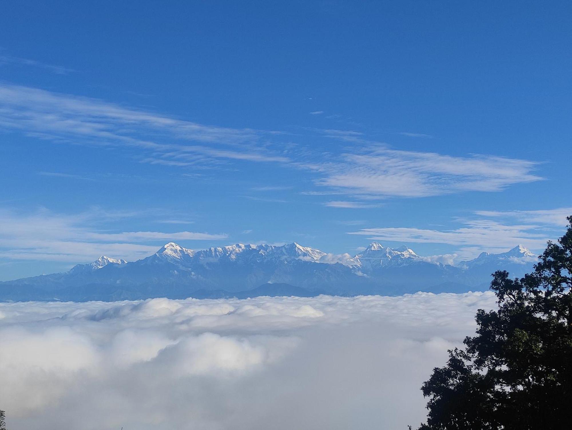 Simba Jungle Lodge, Binsar Wildlife Sanctuary Exterior foto